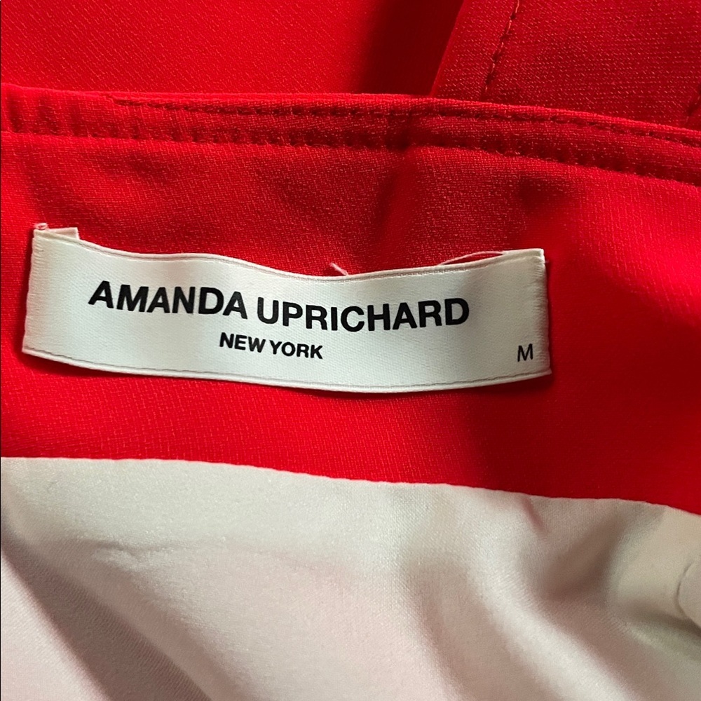 Amanda uprichard - ACE dress in crimson - Picture 4 of 5